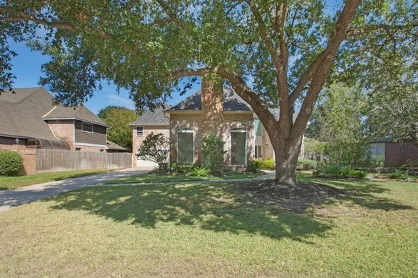 a large tree in middle of the garden