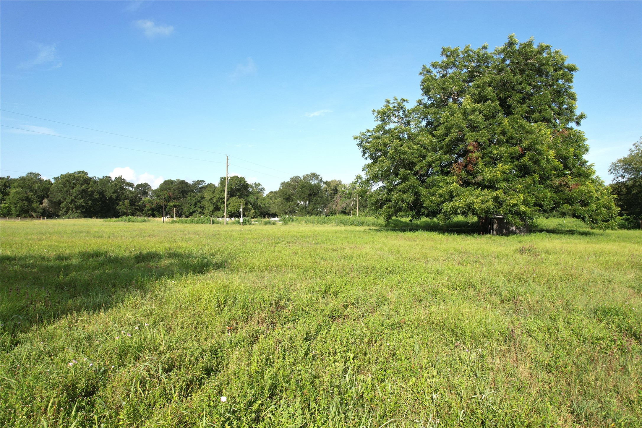 36600 Cheyenne Road Simonton, TX 77485 - Photo 5 of 21