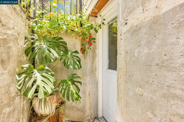a living room with furniture potted plant and a window
