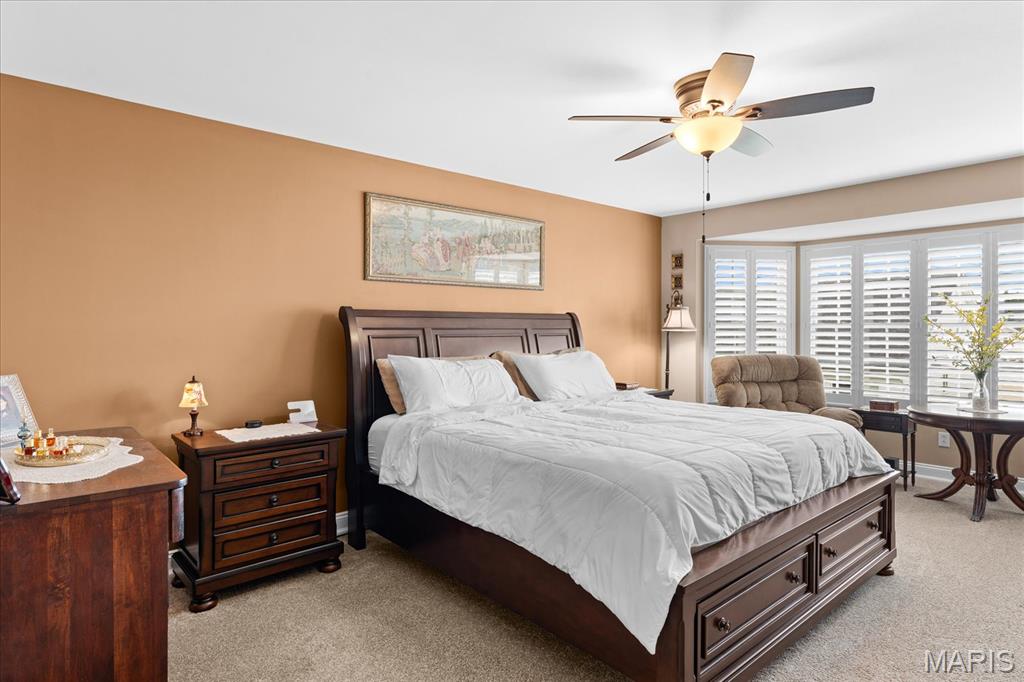 286 Red Clover Circle O'Fallon, IL 62269 - Photo 25 of 62