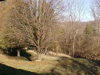 0 225 Ford Road Williamstown, KY 41097 - Photo 4 of 8 Gallery Image 4