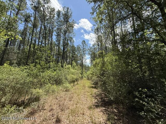 Elmer Hamilton Road Road Moss Point, MS 39562 - Photo 26 of 27 IMG_4857