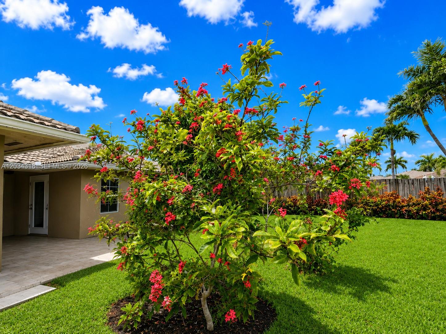 14856 Southwest 179th Street Miami, FL 33187 - Photo 5 of 33 a view of a flower in a garden