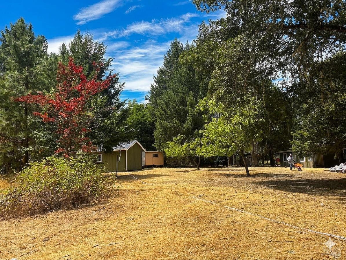 701 Branscomb Road Laytonville, CA 95454 - Photo 8 of 8