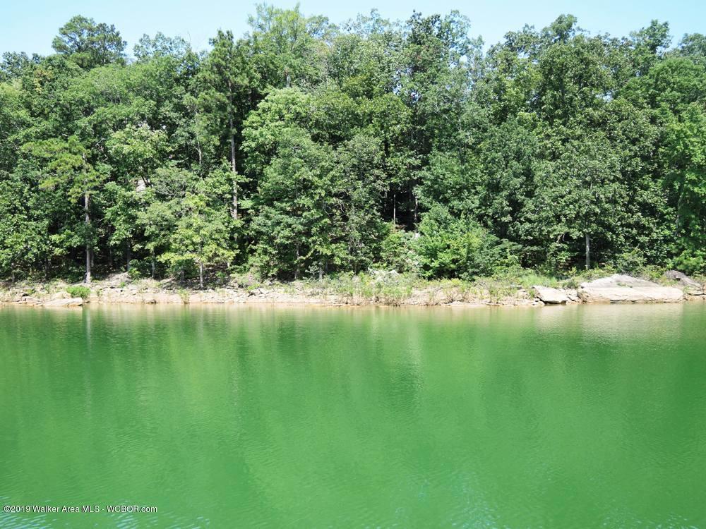 891 County Road Arley, AL 35541 - Photo 8 of 8 Gallery Image 8
