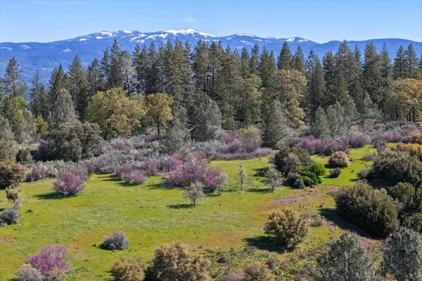 $3,500,000 | 9568 Blue Mountain Ranch Road, Whitmore, CA 96096