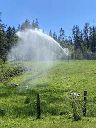 $3,500,000 | 9568 Blue Mountain Ranch Road, Whitmore, CA 96096