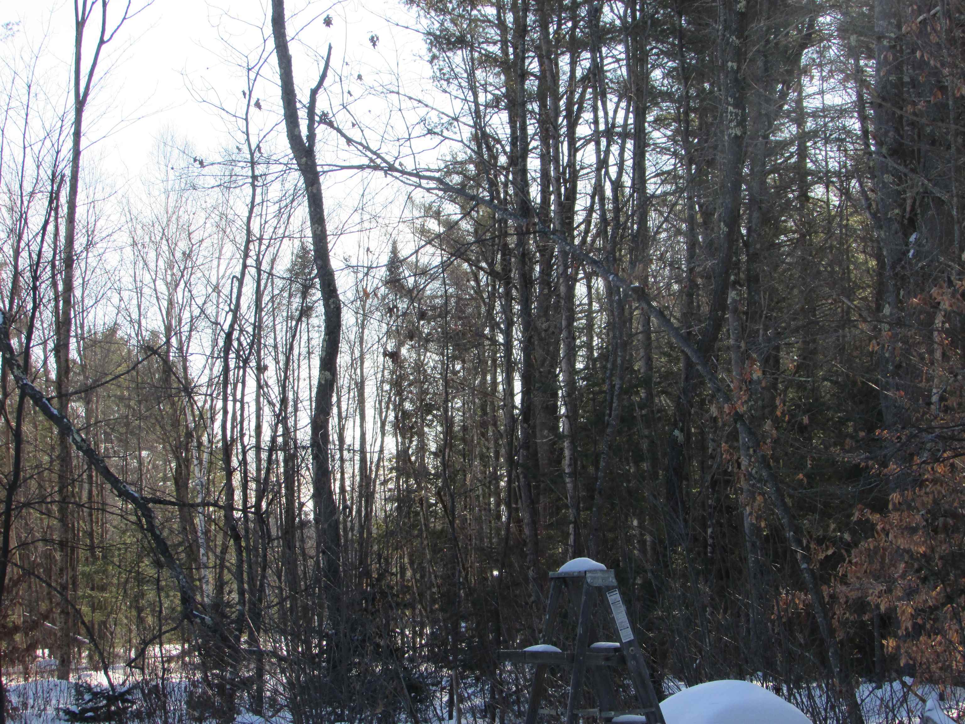 355 Beede Flats Road Sandwich, NH 03883 - Photo 31 of 32