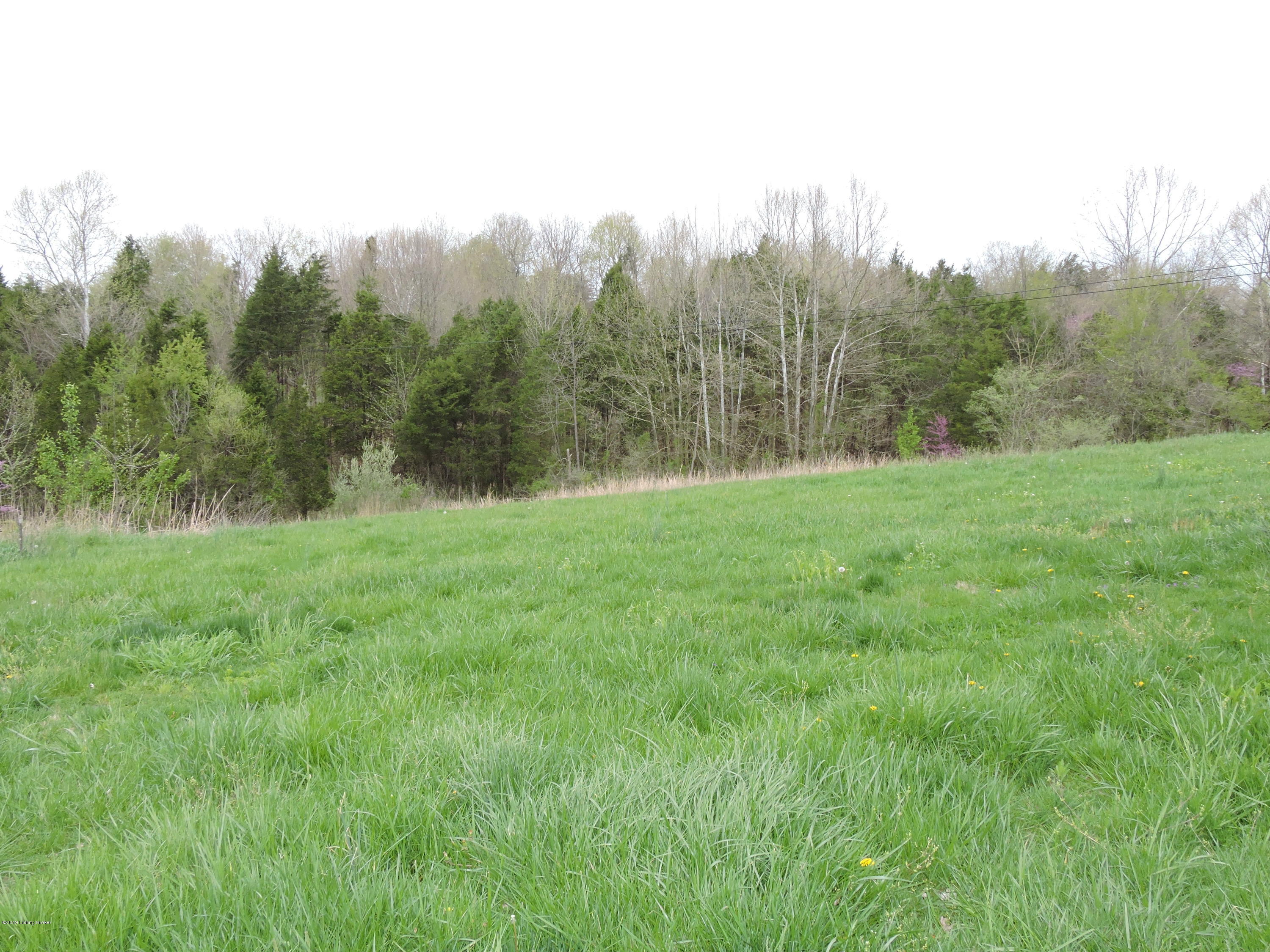 781 Ridgeview Drive Shepherdsville, KY 40165 - Photo 15 of 50 DSCN5689