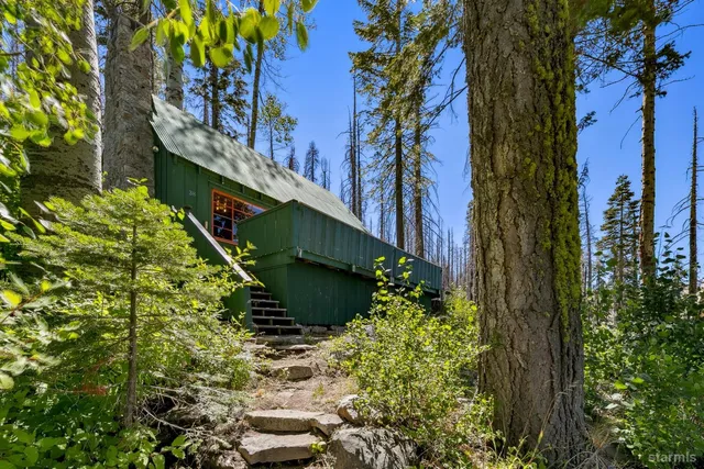 a view of a flower in a garden