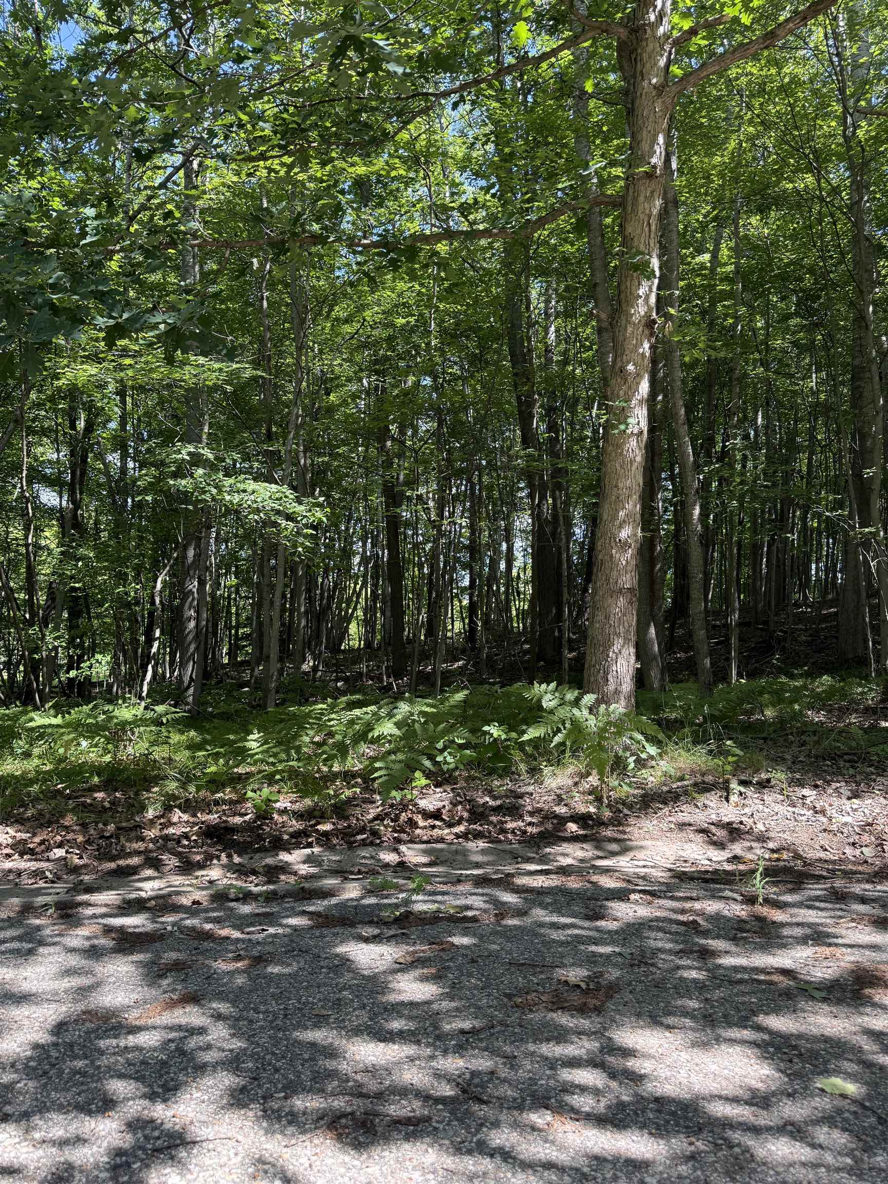 Tbd Rivers Edge Trail Mount Pleasant, MI 48858 - Photo 4 of 6 Gallery Image 4