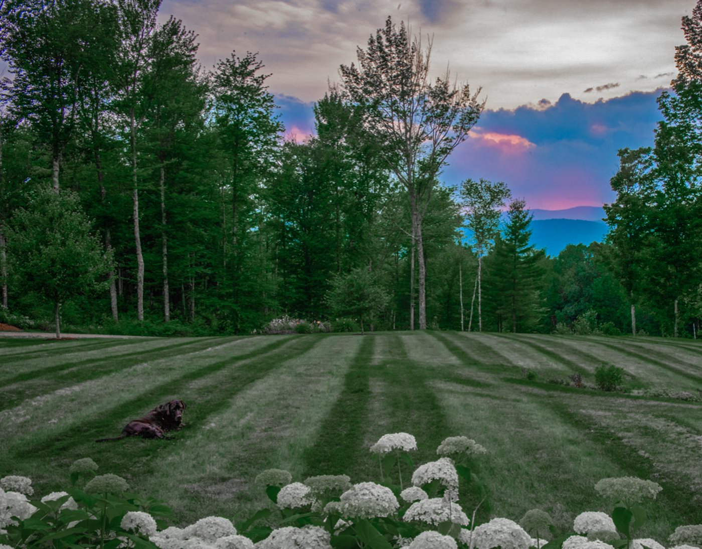 1903 Fish Hill Road Randolph, VT 05060 - Photo 30 of 40 Gallery Image 30