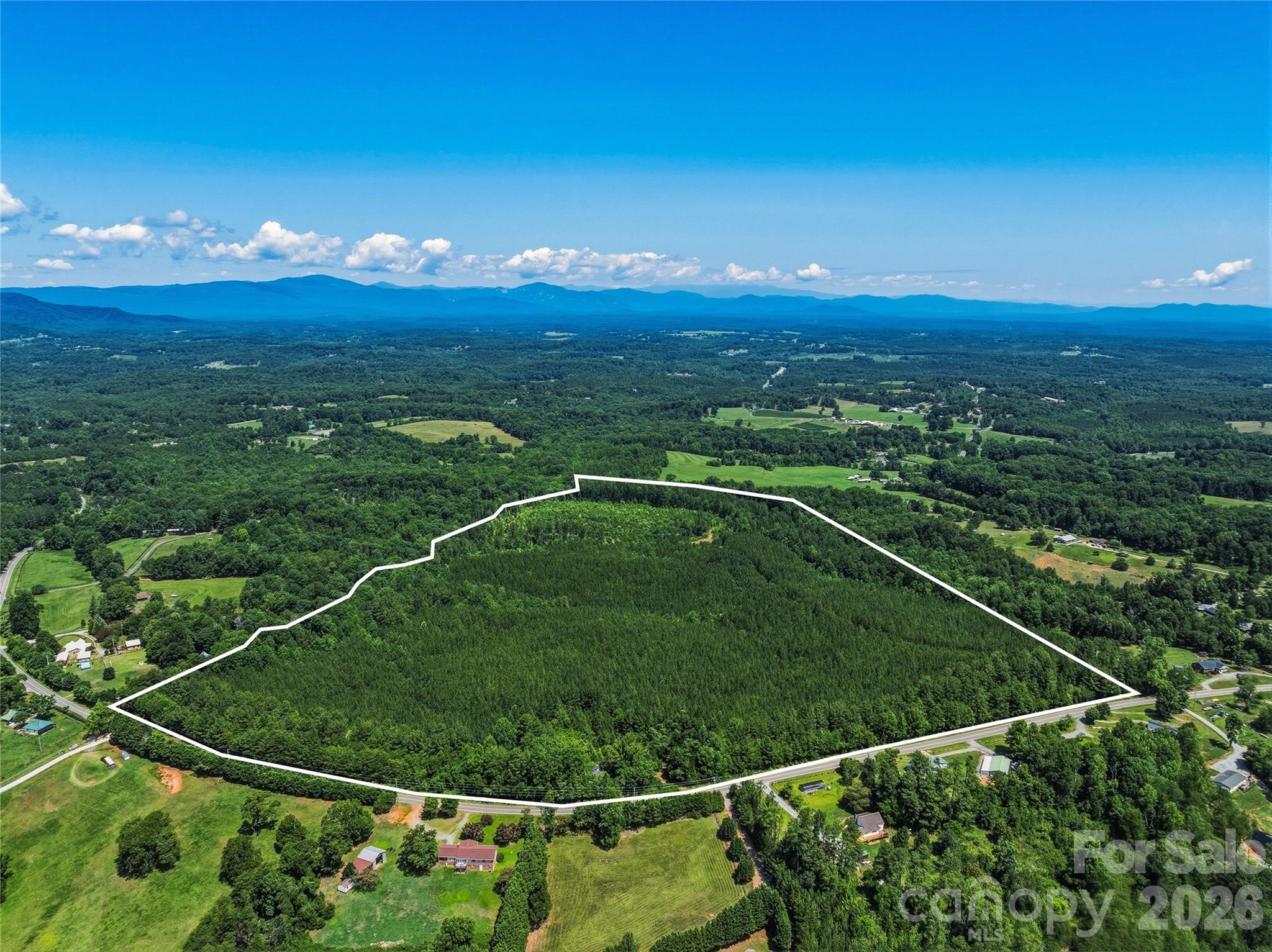 6783 Peniel Road Tryon, NC 28782 - Photo 1 of 36