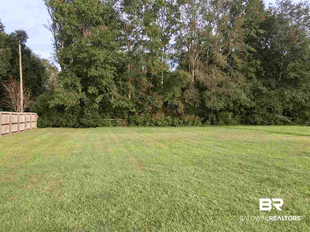 0 Firefly Lane Foley, AL 36535 - Photo 3 of 4