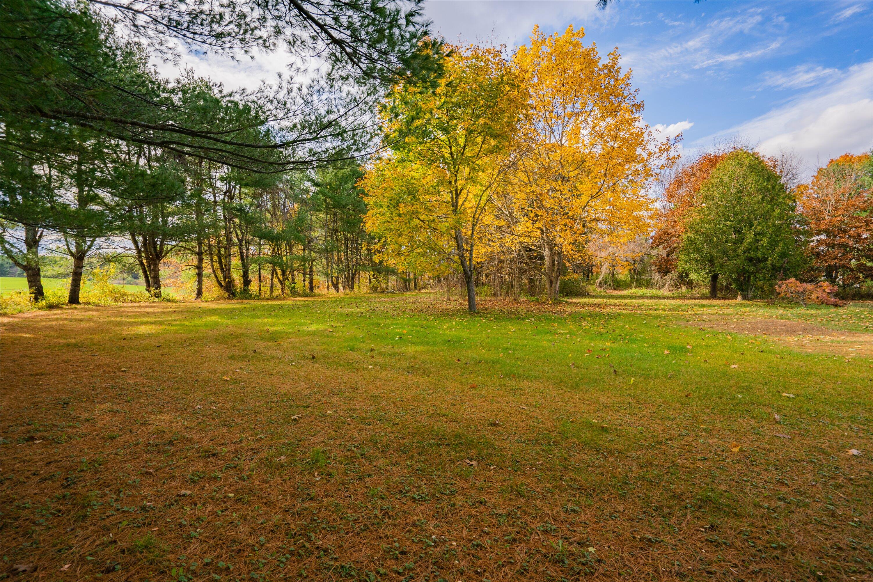 1614 Alfred Road Lyman, ME 04002 - Photo 28 of 30 Backyard