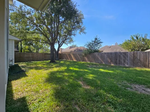 a view of backyard with large trees and plants