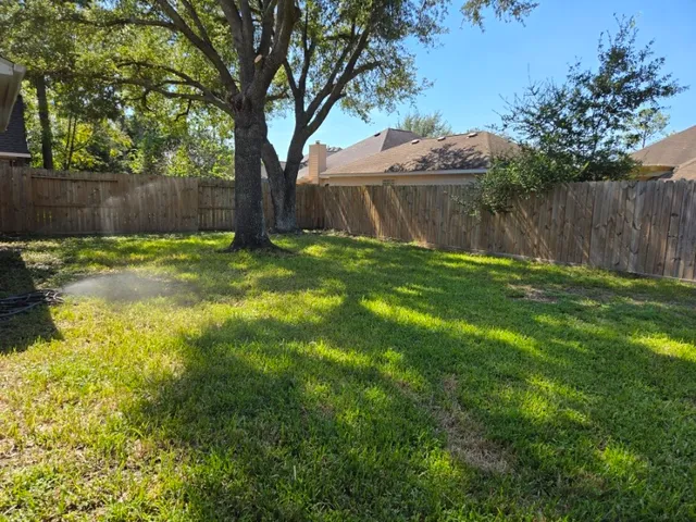 a view of a back yard