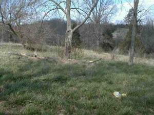 1 Magner Road Orleans, IN 47452 - Photo 4 of 6
