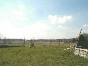 1 Magner Road Orleans, IN 47452 - Photo 6 of 6