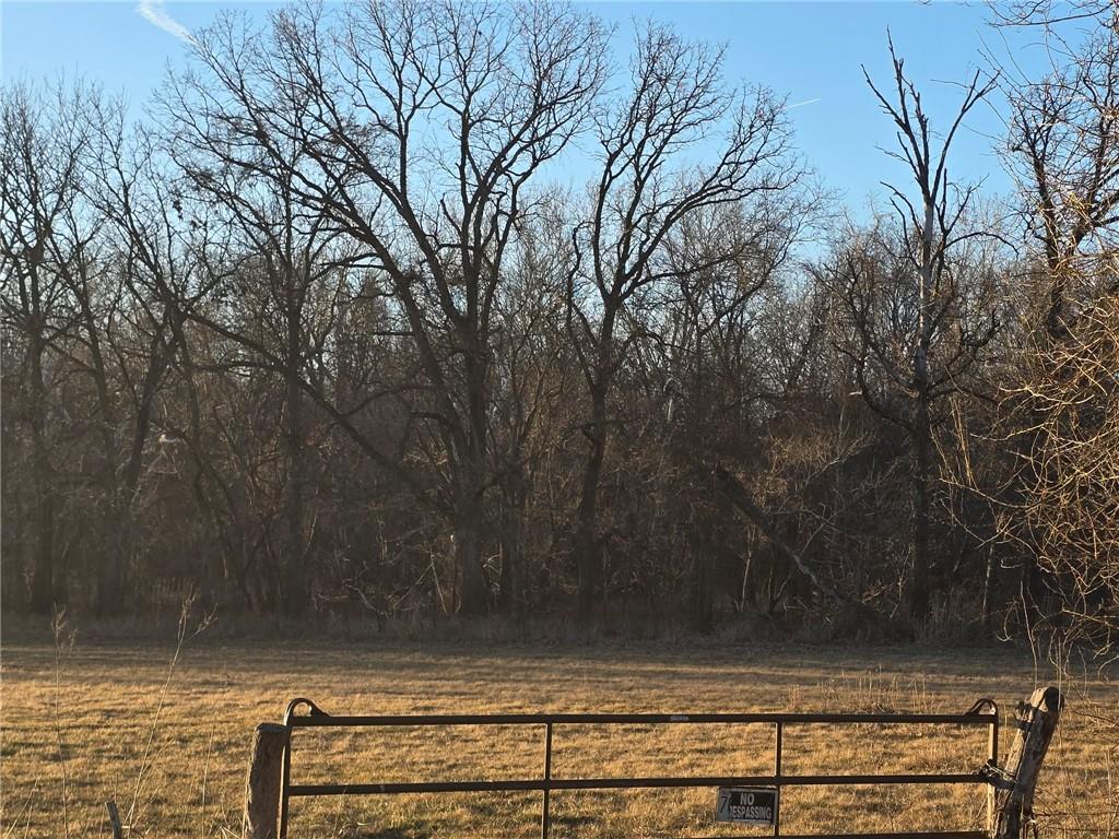 0 Southwest 51 40 /- Acres Road Deepwater, MO 64740 - Photo 1 of 1 Gallery Image 1