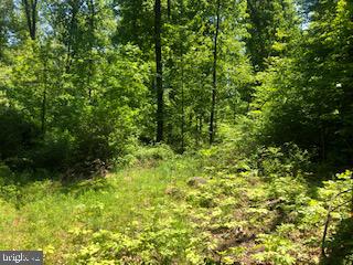 0 Fels Road Quakertown, PA 18951 - Photo 3 of 7