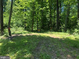 0 Fels Road Quakertown, PA 18951 - Photo 4 of 7