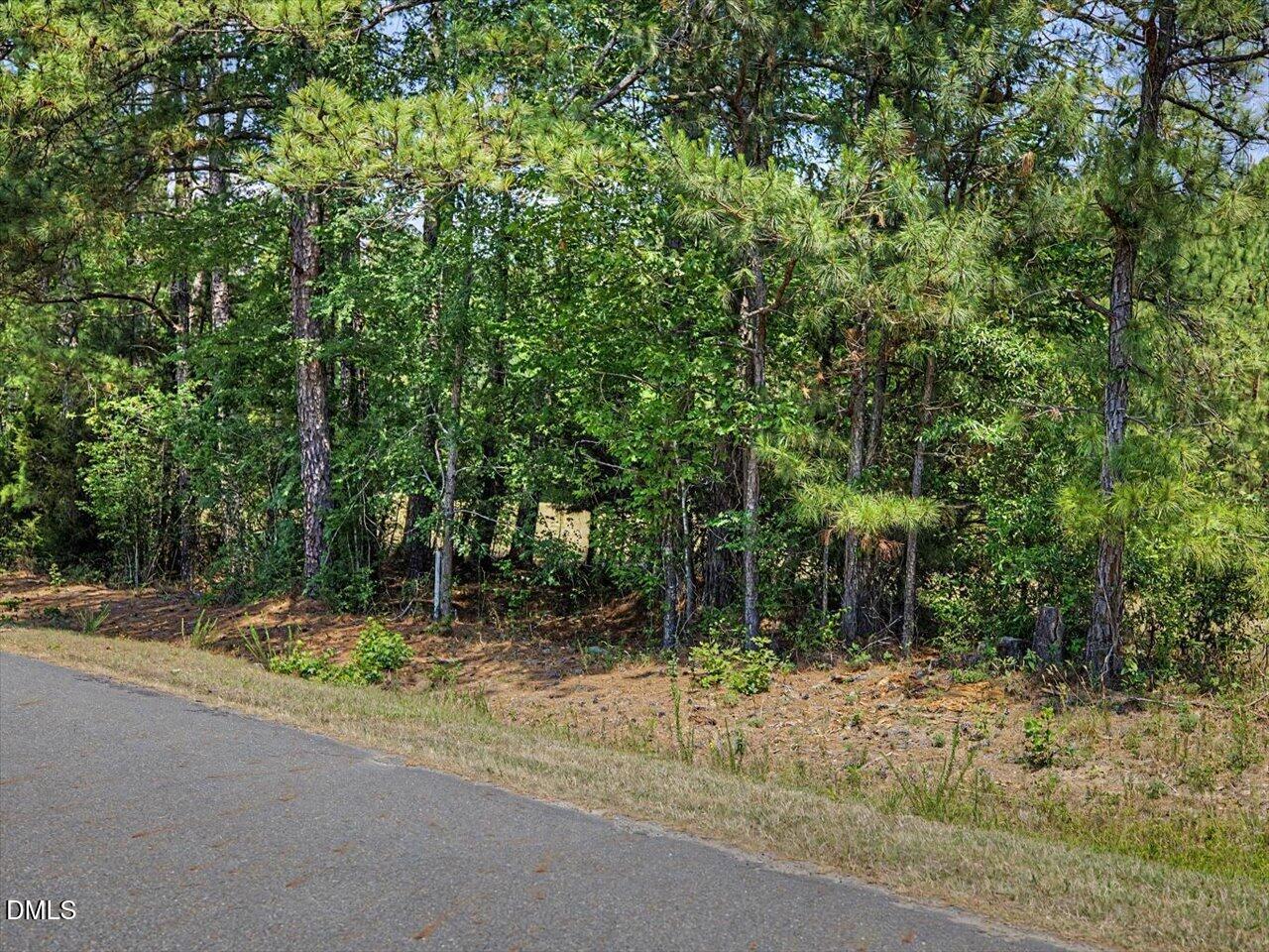 Lot 2 Clyde Farrell Road Apex, NC 27523 - Photo 19 of 26
