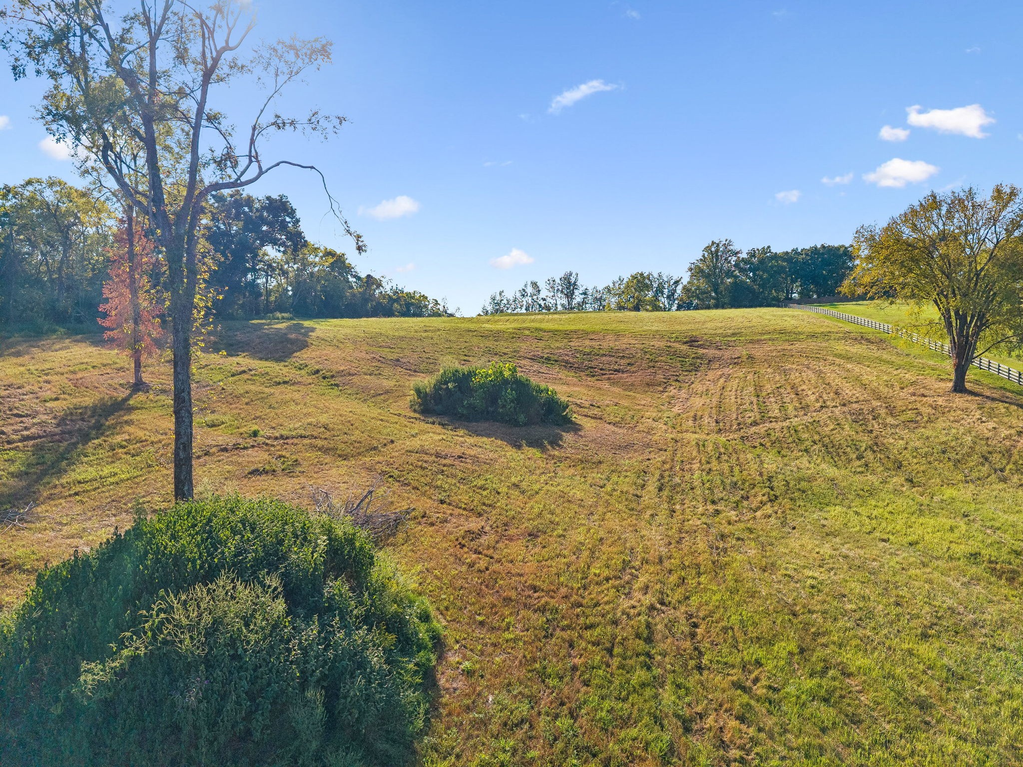 1025 Tulloss Road Franklin, TN 37067 - Photo 43 of 56 Gallery Image 43