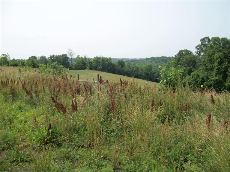 3395 Rich Road Morning View, KY 41063 - Photo 4 of 4