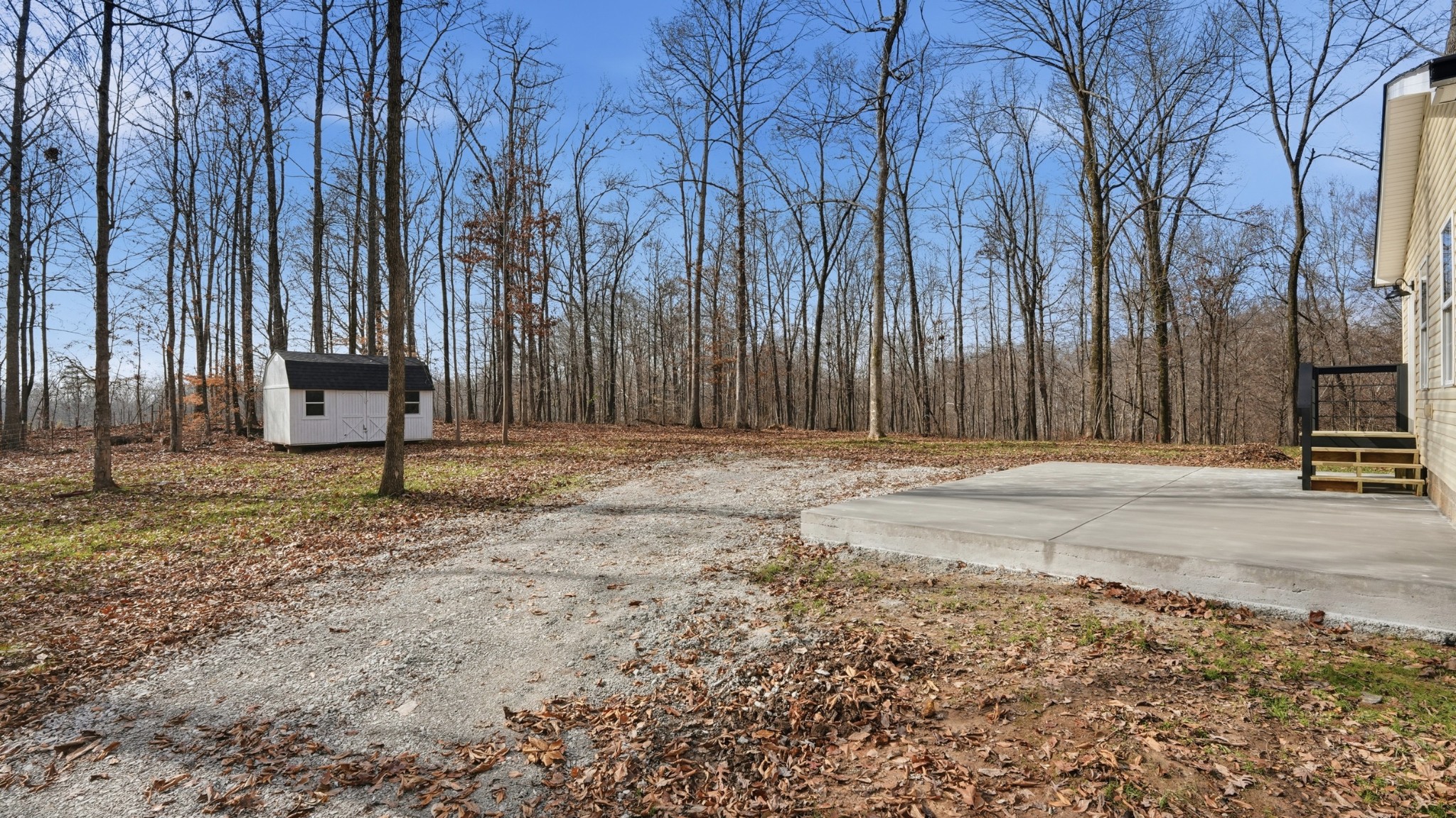 790 Preston Ridge Road Mulberry, TN 37359 - Photo 37 of 44 a view of a backyard with large trees