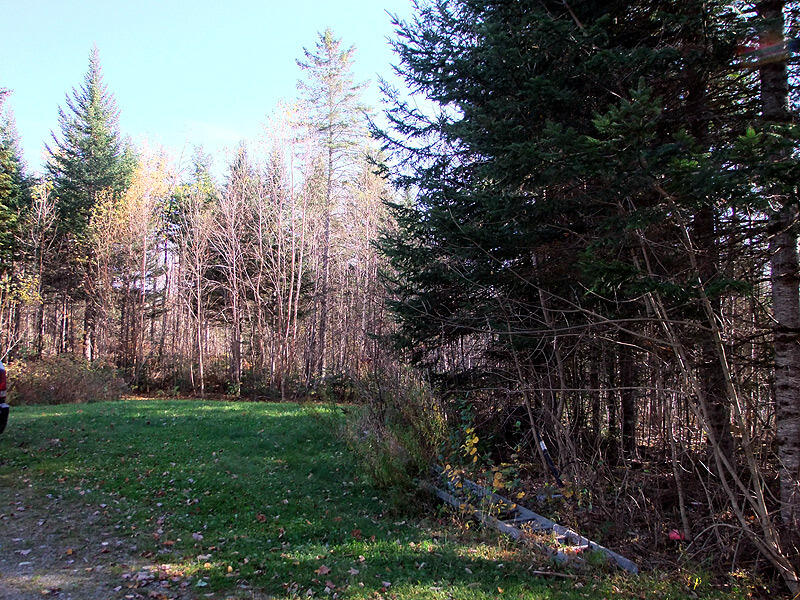 353 South Hemore Road Houlton, ME 04730 - Photo 35 of 35 jones-ext3