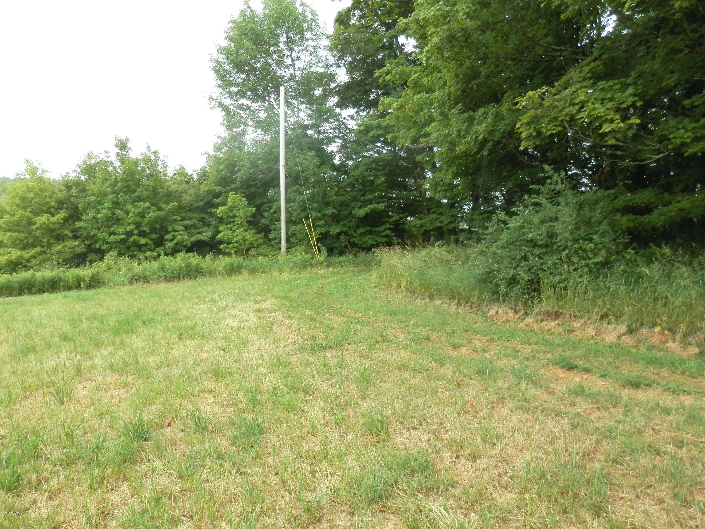 16 Floral Ridge Run Milanville, PA 18443 - Photo 10 of 26 NICE LEVEL YARD