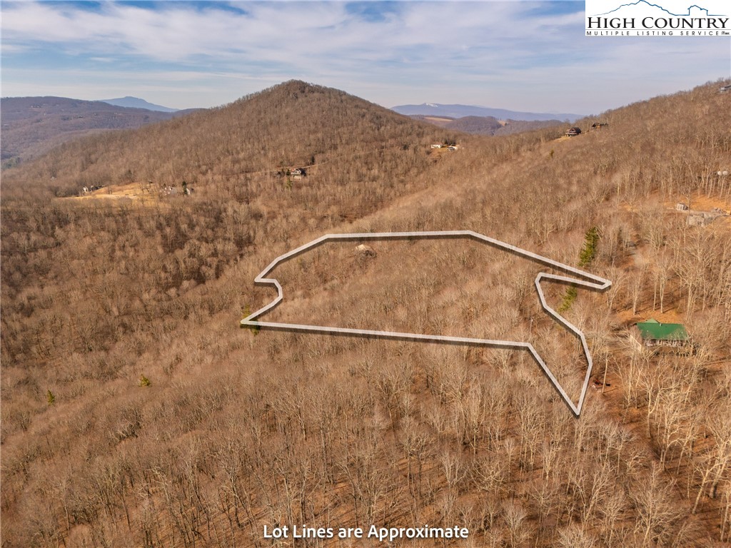 1395 Grady Winkler Road Boone, NC 28607 - Photo 6 of 50 Gallery Image 6