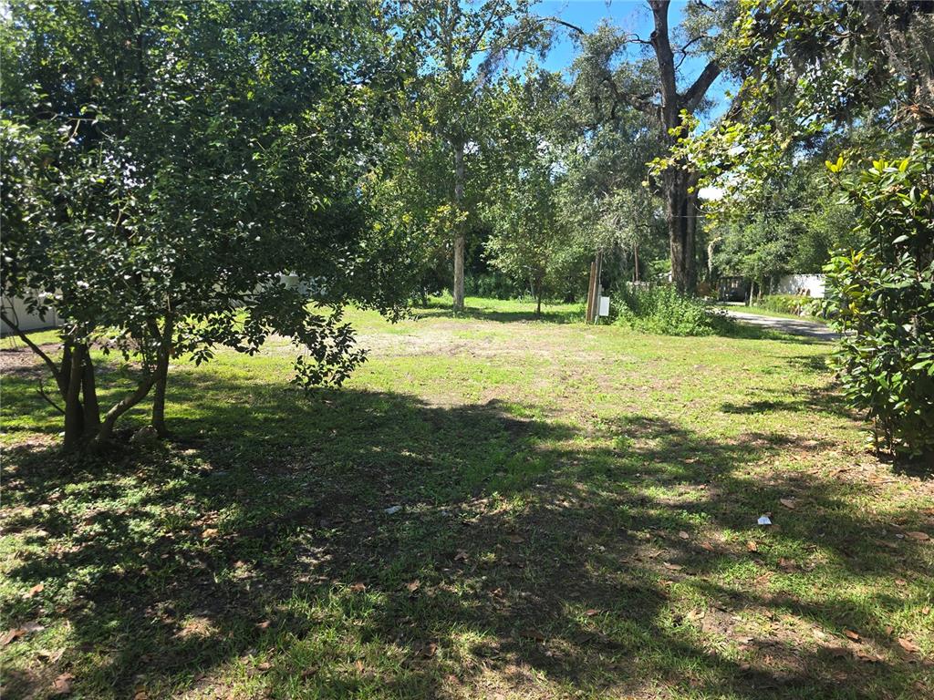 1403 Gordon Road Plant City, FL 33566 - Photo 3 of 4
