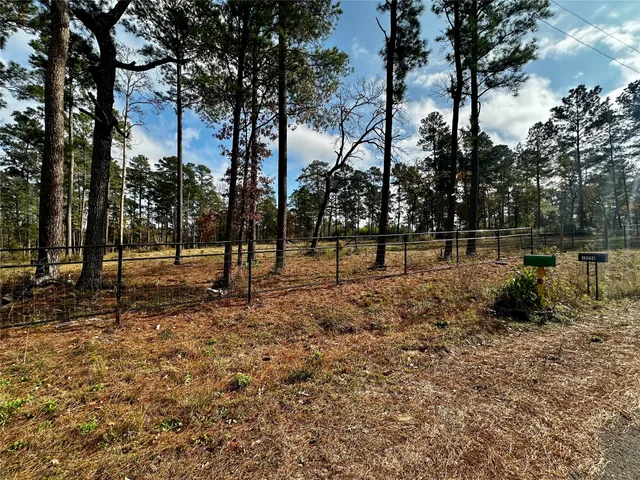 a view of park with trees