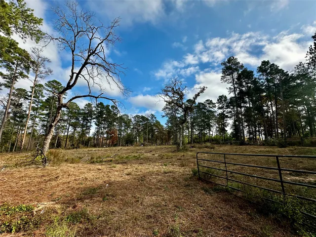 a view of backyard with green space