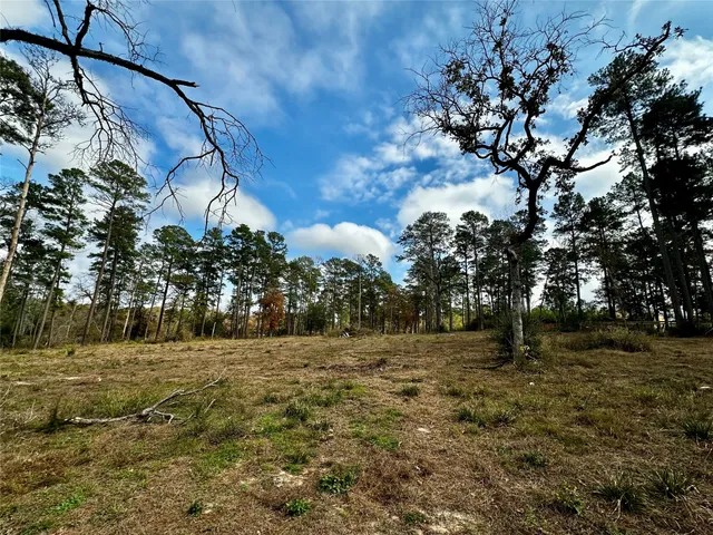 a view of swimming pool
