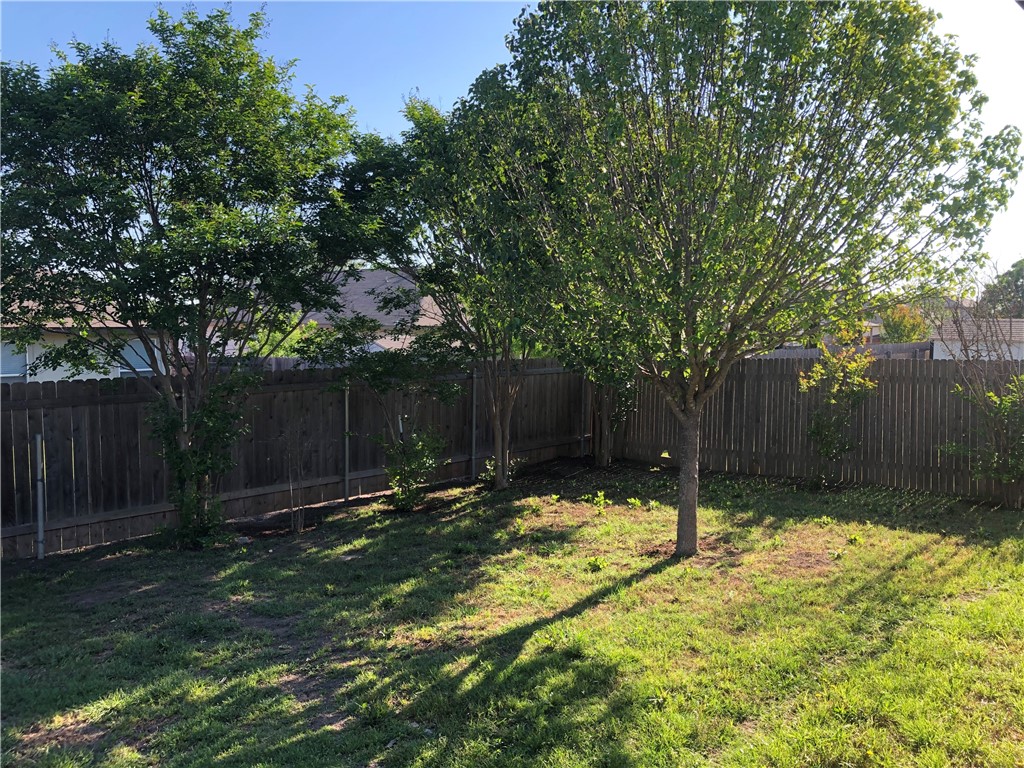 229 Killian Loop Hutto, TX 78634 - Photo 25 of 28 a backyard of a house