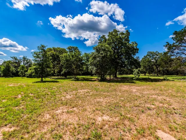 a view of a swimming pool with an outdoor space