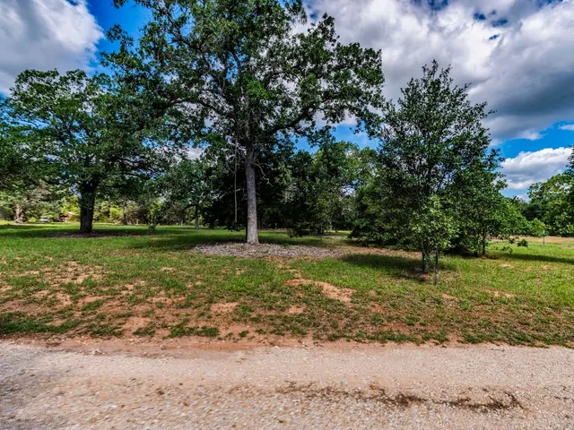 a view of backyard with green space