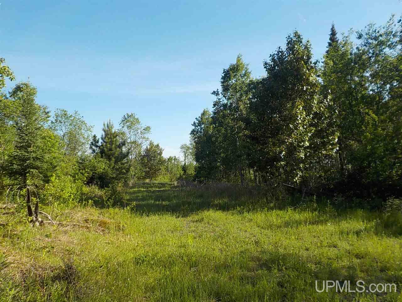 37.25-ac Mihalisko Road Amasa, MI 49920 - Photo 6 of 8