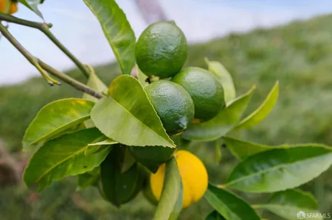 $1,795,000 | 6043 Harwood Avenue, Oakland, CA 94618