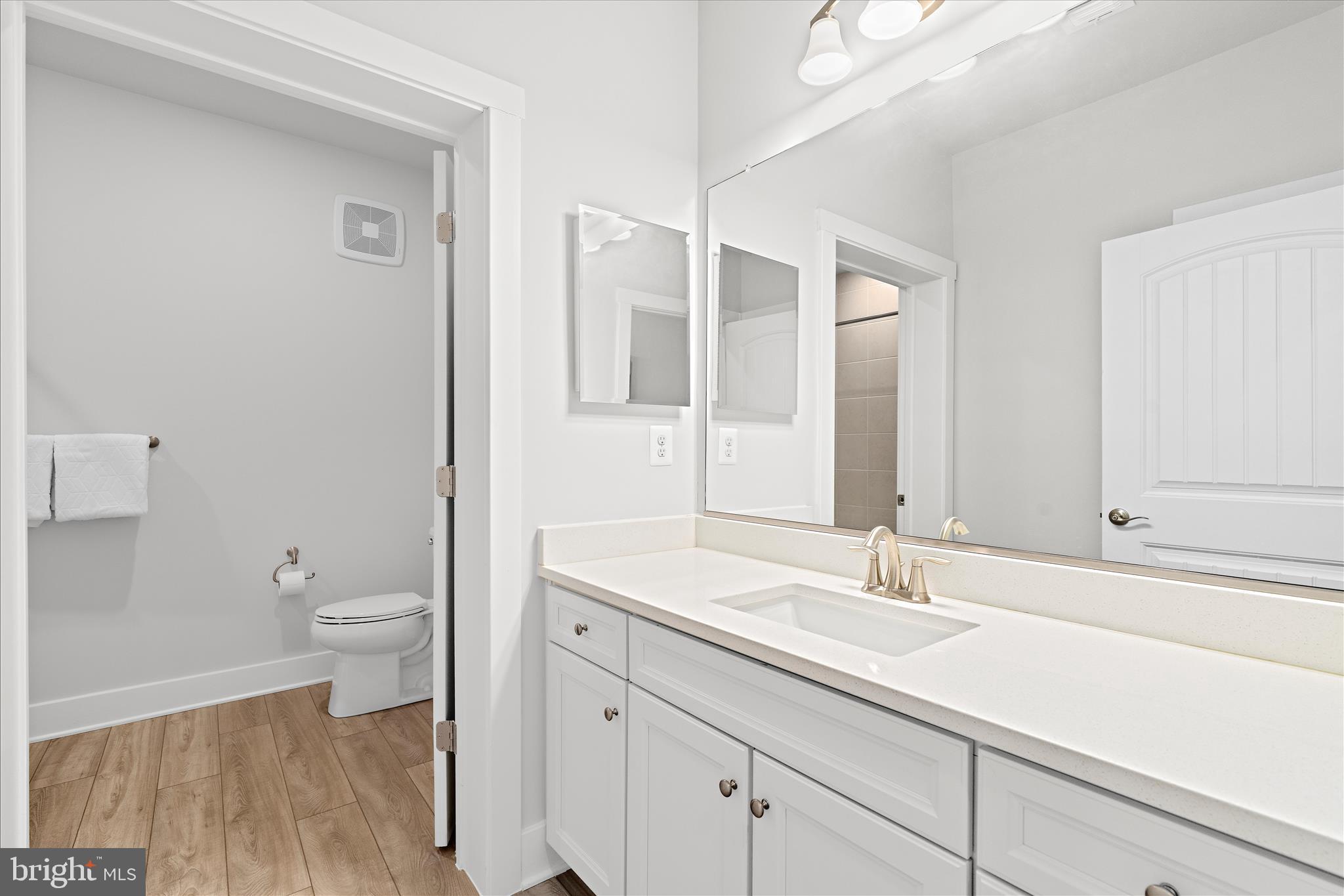 132 Wheelhouse Way, Unit 11 Chester, MD 21619 - Photo 19 of 77 a bathroom with a sink a toilet and a large mirror