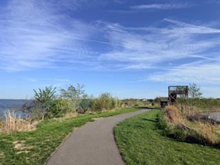 132 Wheelhouse Way, Unit 11 Chester, MD 21619 - Photo 66 of 77 a view of a pathway both side of grassy field with shrub