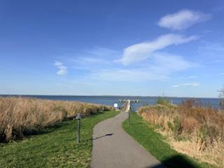 132 Wheelhouse Way, Unit 11 Chester, MD 21619 - Photo 72 of 77 Pathway to Pier, day docking, fishing, water taxi.