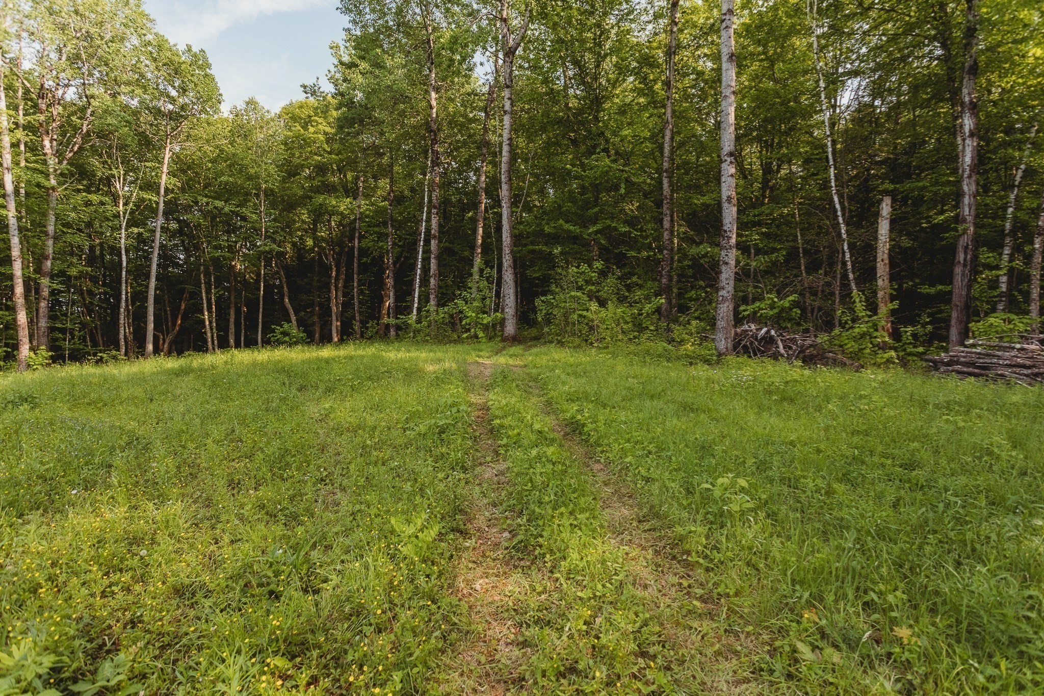 230 Wilson Hill Road Colrain, MA 01340 - Photo 12 of 17 Gallery Image 12