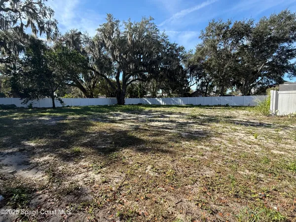 a view of a yard with large trees