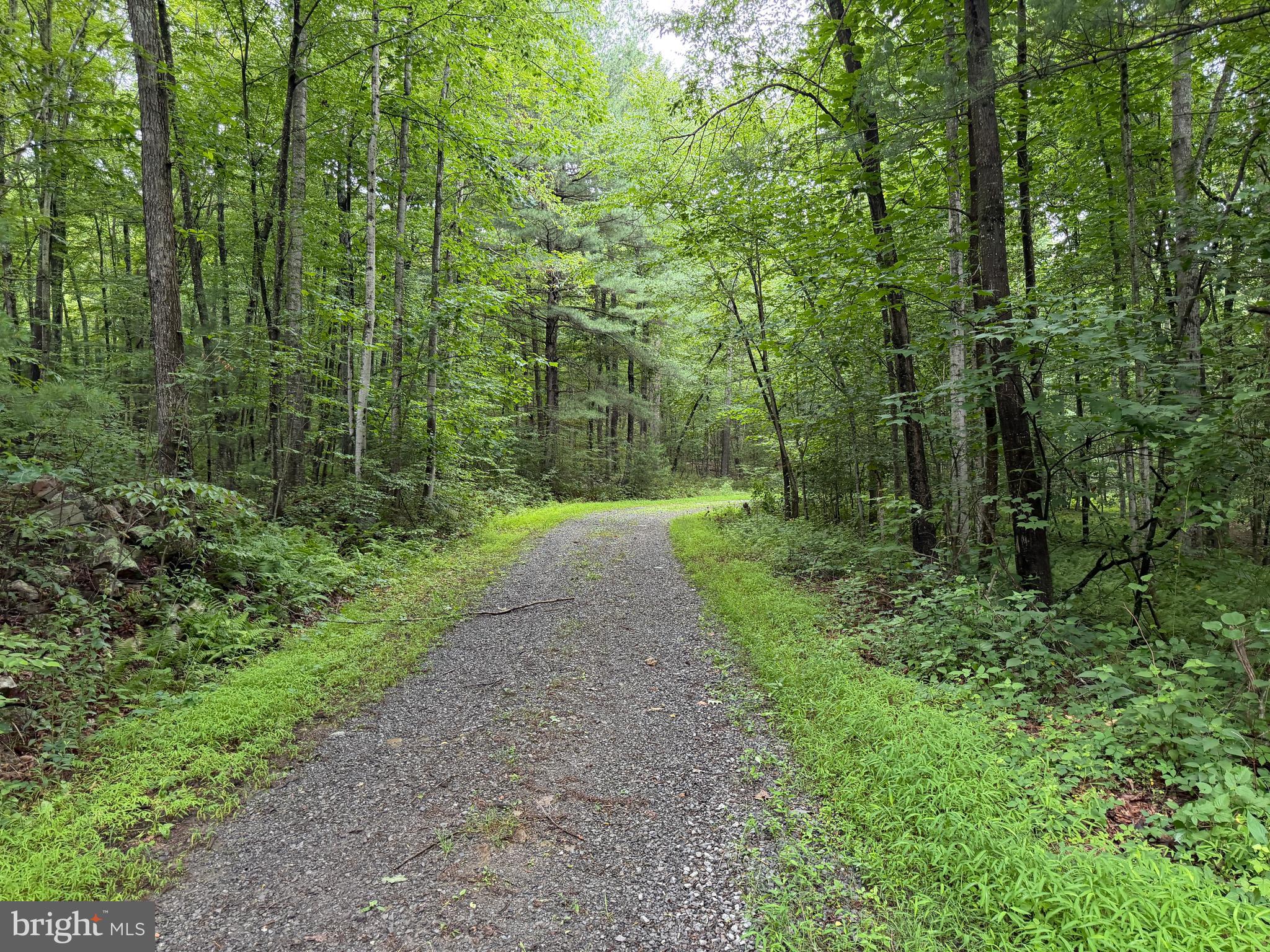 17147 Sugar Run Road Shirleysburg, PA 17260 - Photo 139 of 148