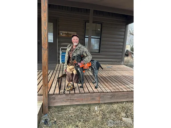 a view of a bird bath