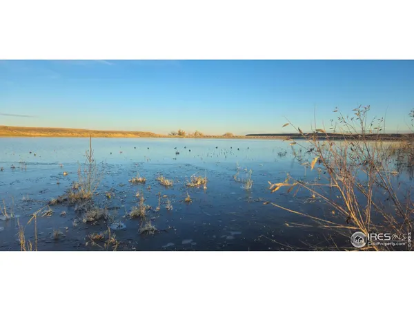 a view of city and ocean